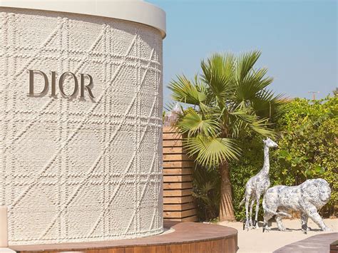 dior dubai restaurant|nammos Dubai reservation.